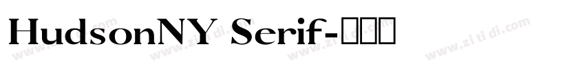 HudsonNY Serif字体转换